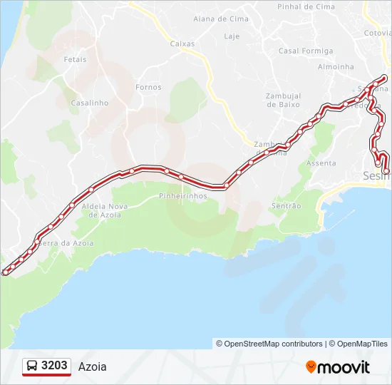 3203 Bus Line Map