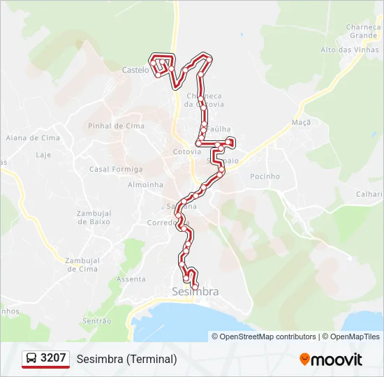 3207 Bus Line Map