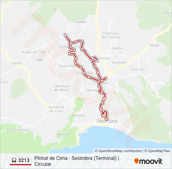 3213 Bus Line Map
