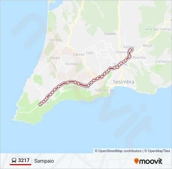 3217 Bus Line Map