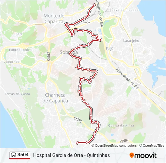 3504 Bus Line Map