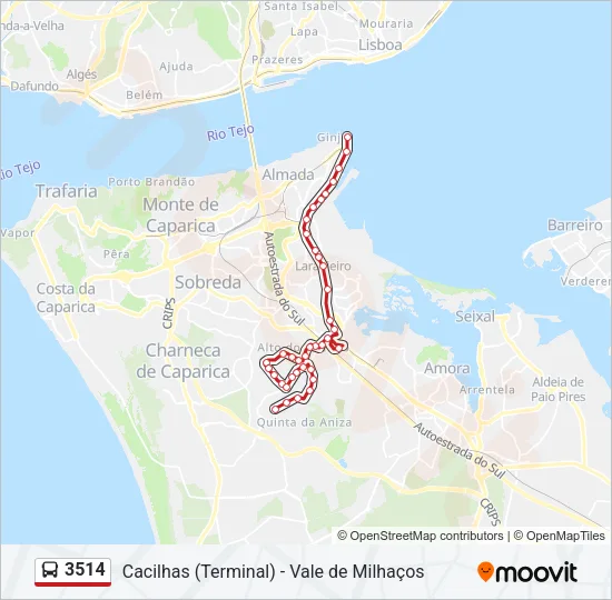 3514 Bus Line Map