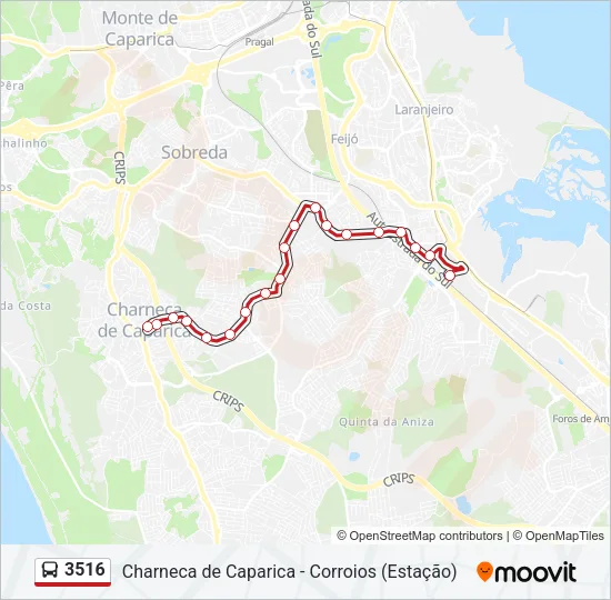3516 Bus Line Map