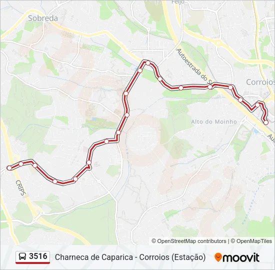 3516 Bus Line Map