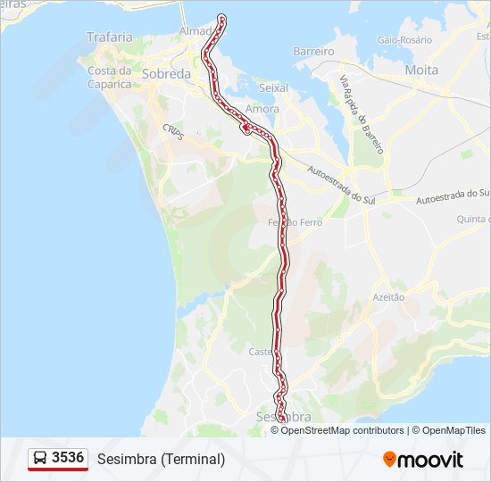 Mapa da linha do autocarro 3536.