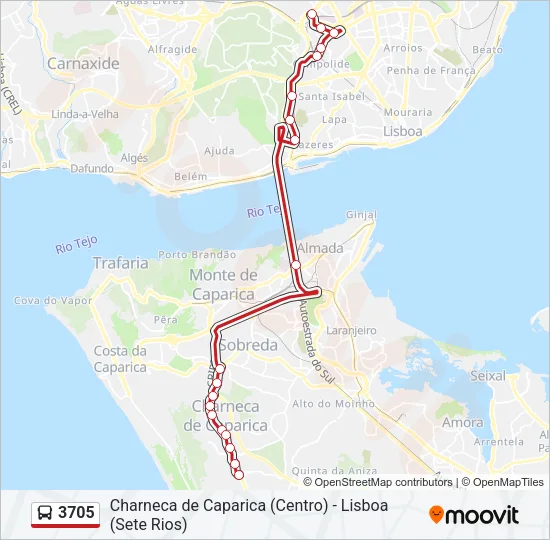 3705 Bus Line Map