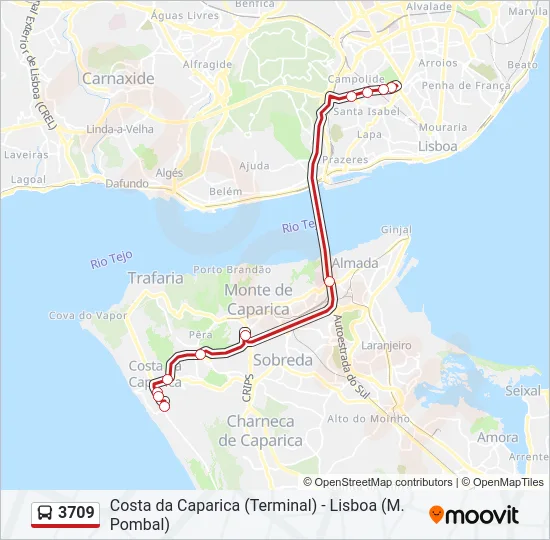 3709 Bus Line Map