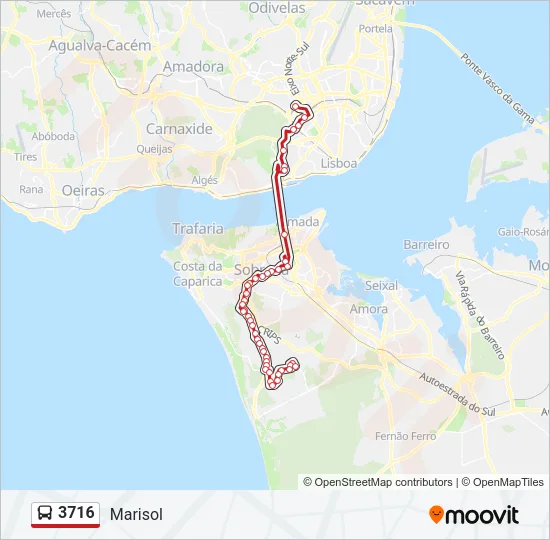 3716 Bus Line Map