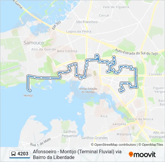 4203 Bus Line Map