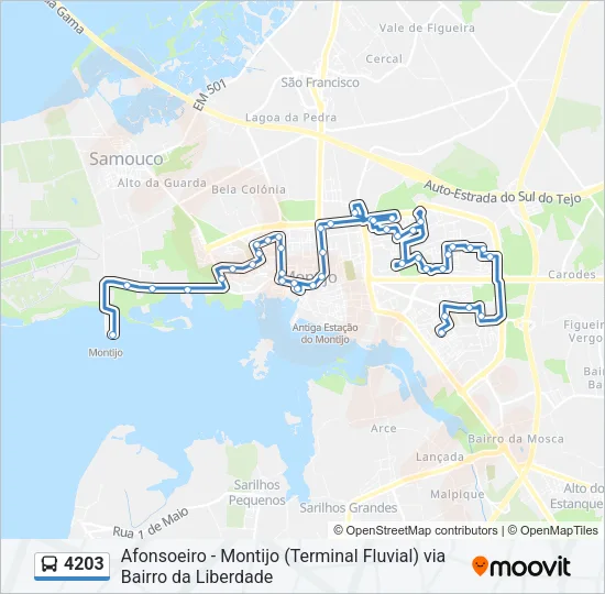 4203 Bus Line Map