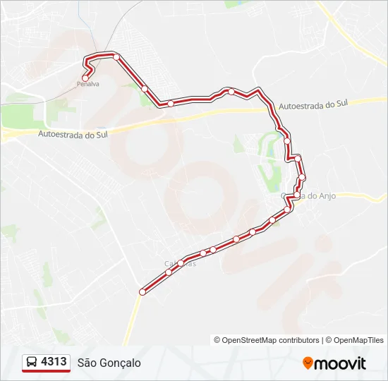 4313 Bus Line Map