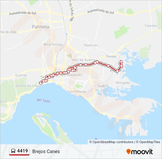 4419 Bus Line Map