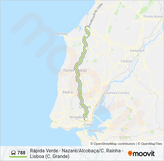 788 Bus Line Map