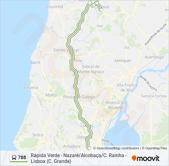 788 Route: Schedules, Stops & Maps - Cadaval (Updated)