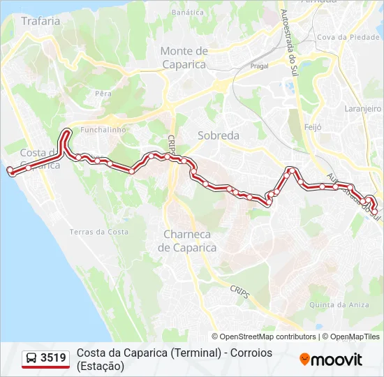 3519 Bus Line Map