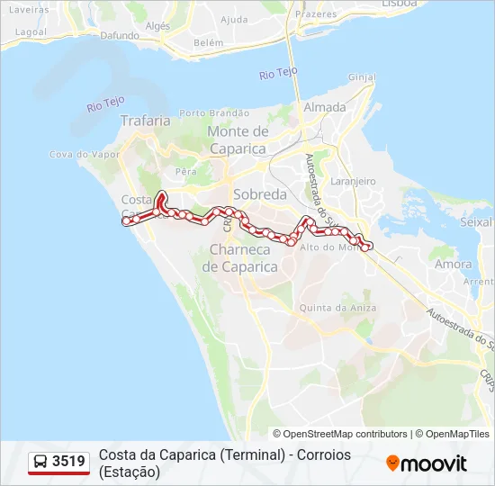 3519 Bus Line Map