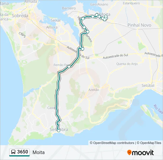 3650 Bus Line Map