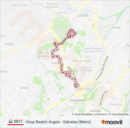2517 Bus Line Map