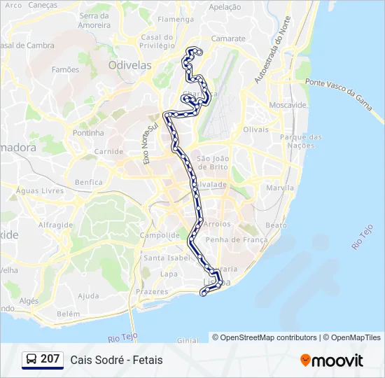 207 Bus Line Map