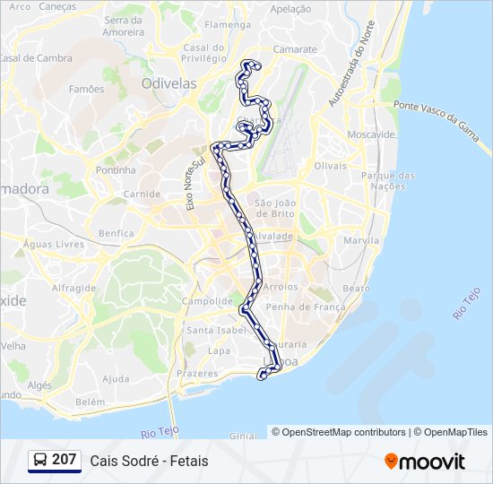 207 Bus Line Map