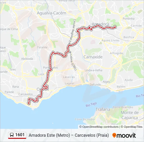 1601 Bus Line Map