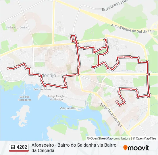 4202 Bus Line Map