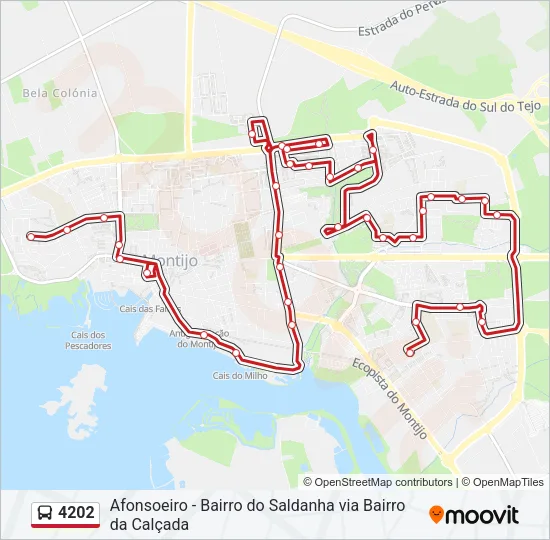 4202 Bus Line Map
