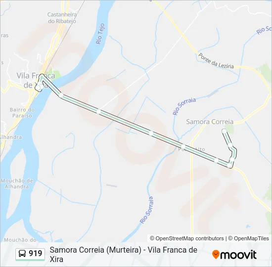 919 Bus Line Map