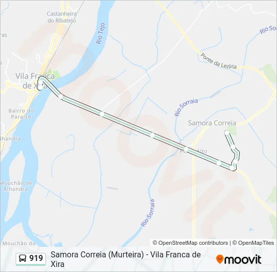 919 Bus Line Map
