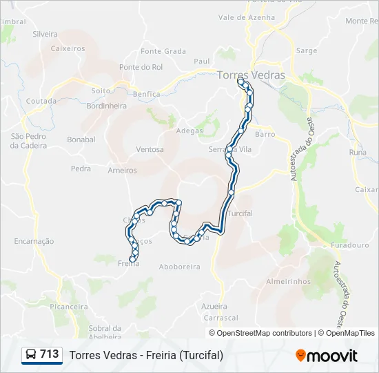 713 Bus Line Map