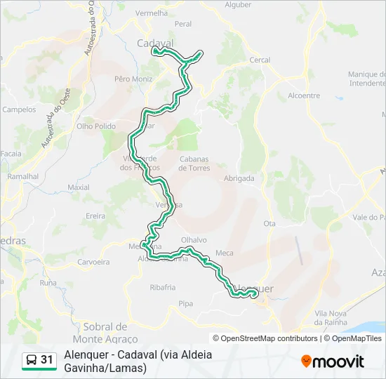 31 Bus Line Map