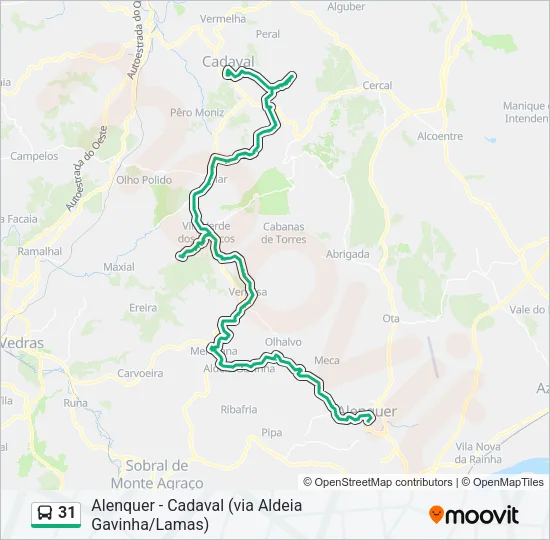 31 Bus Line Map