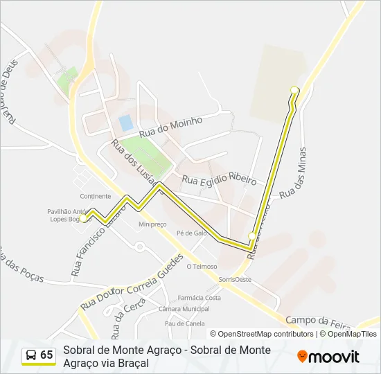 65 Bus Line Map