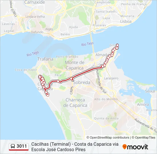 3011 Bus Line Map