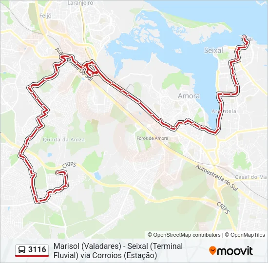 3116 Bus Line Map