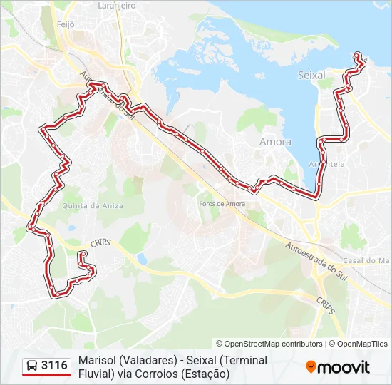 3116 Bus Line Map