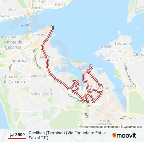 3509 Bus Line Map
