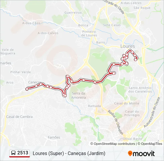 2513 Bus Line Map