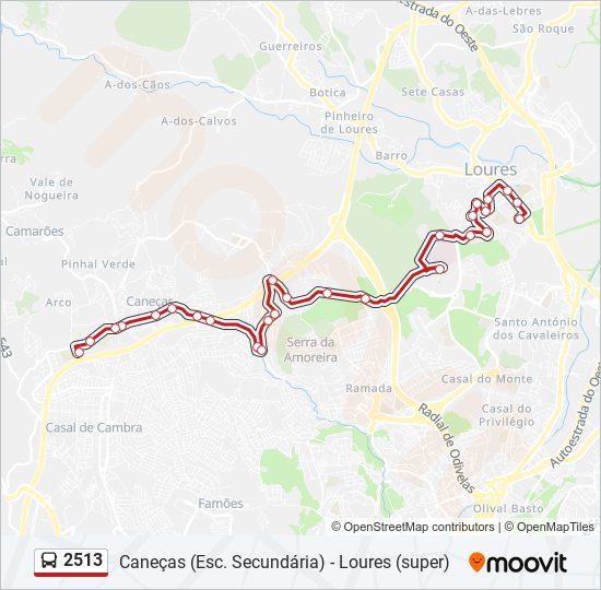 2513 bus Line Map