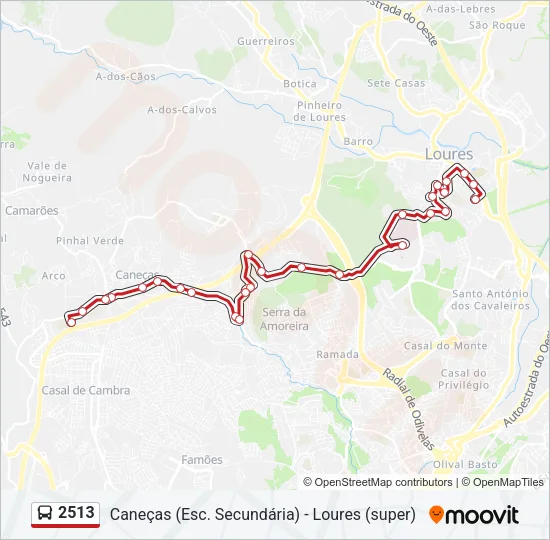 2513 Bus Line Map