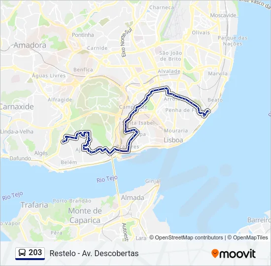 203 Bus Line Map