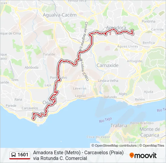1601 Bus Line Map