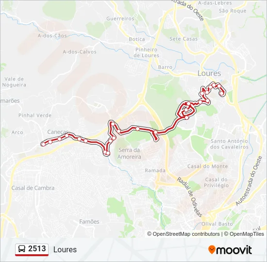2513 Bus Line Map