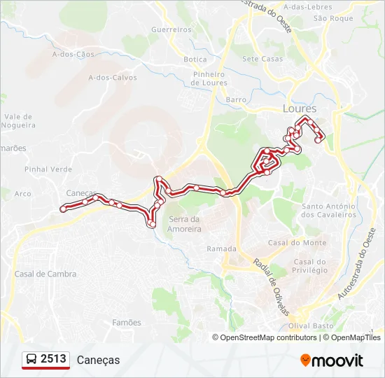 2513 Bus Line Map