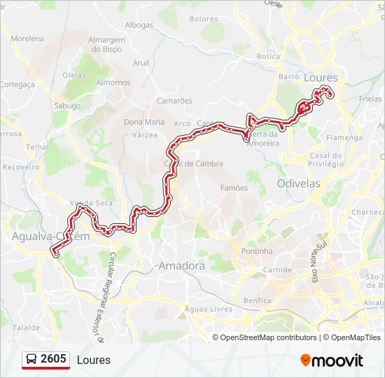 2605 Bus Line Map