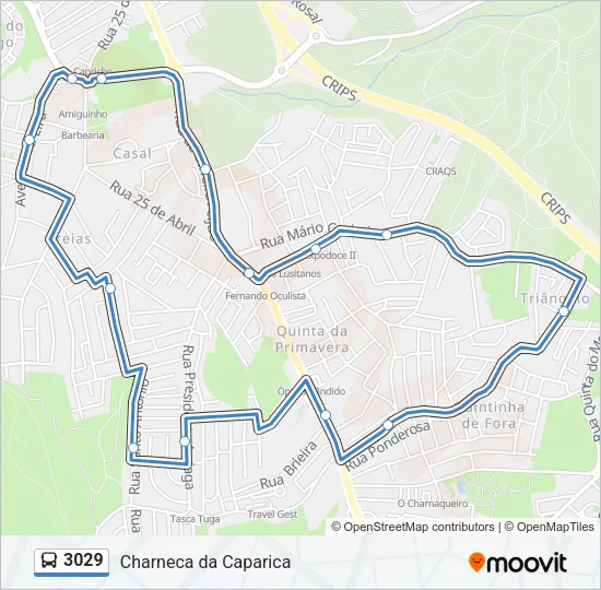 3029 Bus Line Map