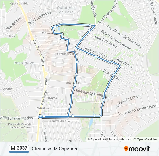 3037 Bus Line Map
