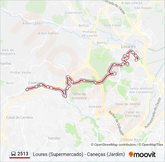 2513 Bus Line Map