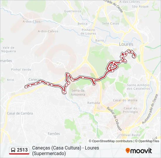 2513 Bus Line Map