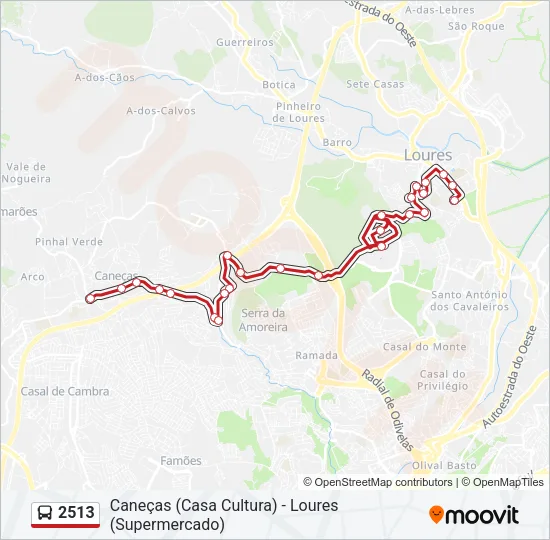 2513 Bus Line Map